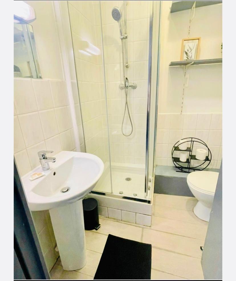 Studio Entier 1 Piece Et Salle De Bain Лилль Экстерьер фото